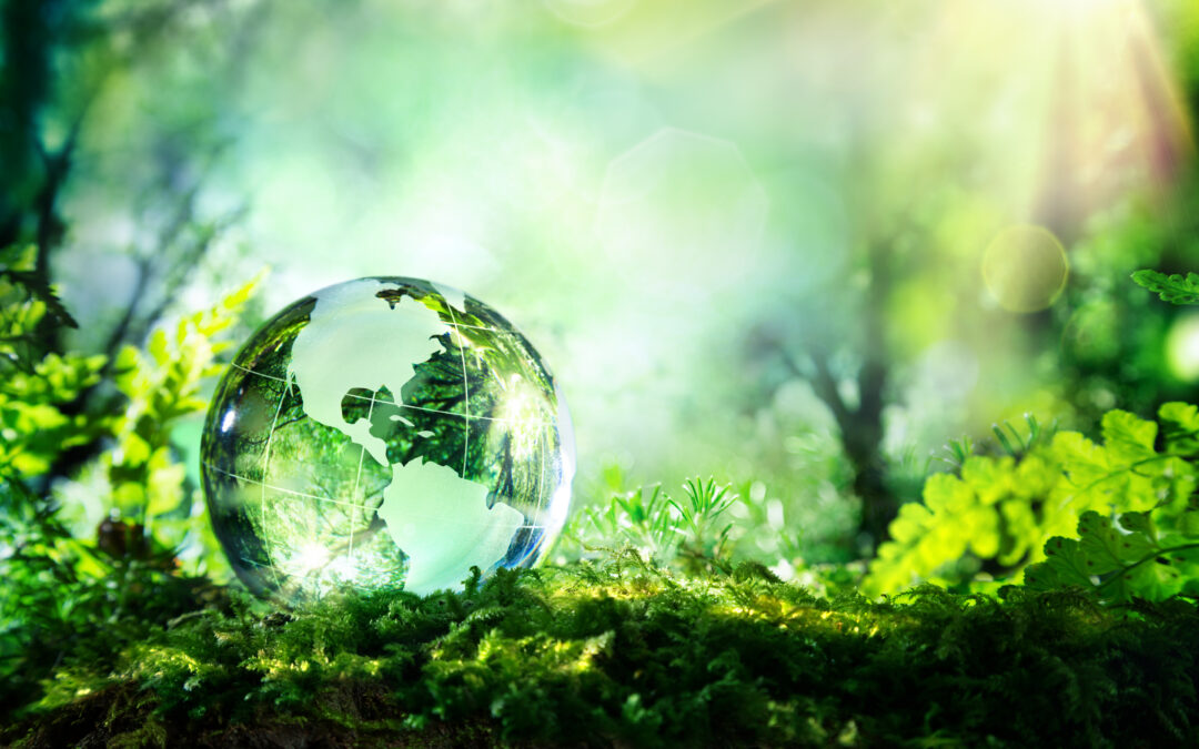 Mais sustentabilidade para sua empresa crescer